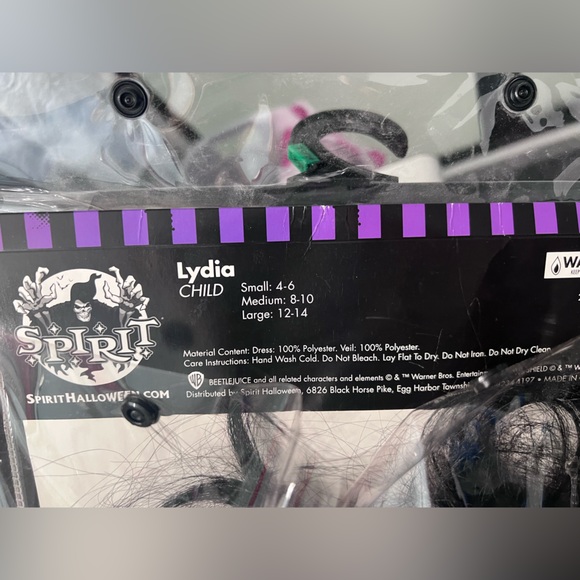 Beetlejuice Lydia costume Dress with Veil and wig - Picture 5 of 7